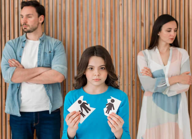 Creating Sustainable Agreements Through Guided Divorce Negotiations Ripley