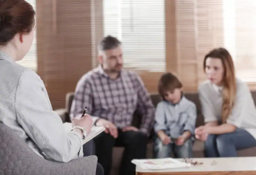 Child Custody and Relocation in International Family Disputes Ripley